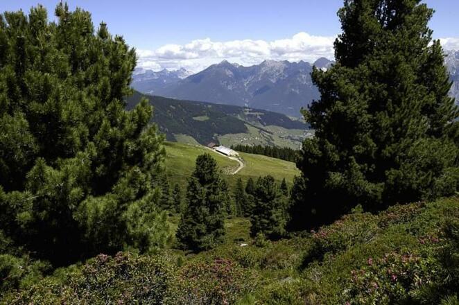 Blick über die Almindalm