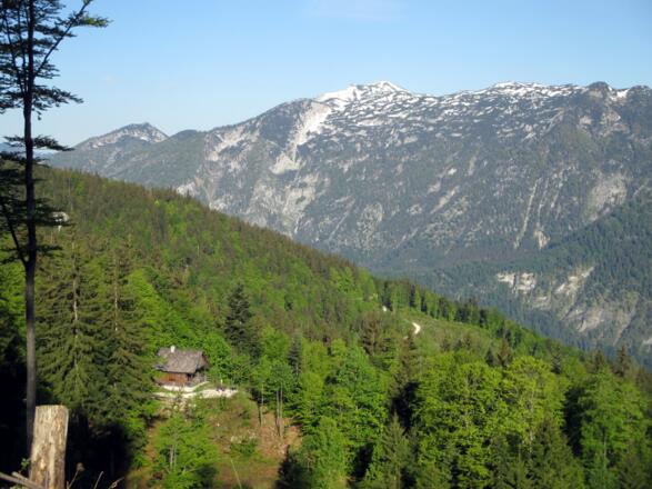 Blick hinab zur Jagdhütte von ~1120m