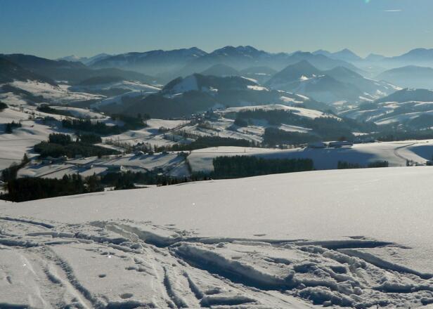 Blick nach Maria Neustift