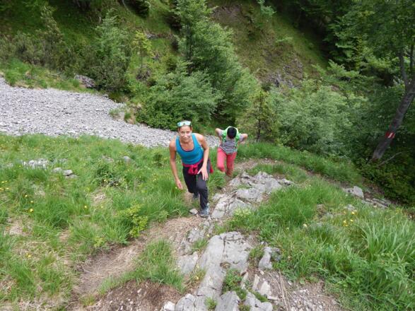 An der Waldgrenze