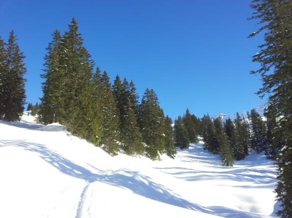 Nach der Saluver-Alpe in Richtung Freschenhaus.