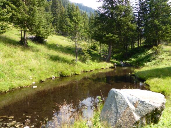 Hinteres Silbertal im Europaschutzgebiet Verwall