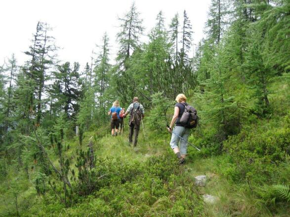 Im "Weingarten" - unberührte Natur