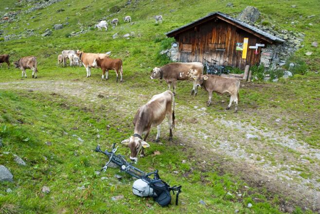 Obere Freschalpe 1890 m
