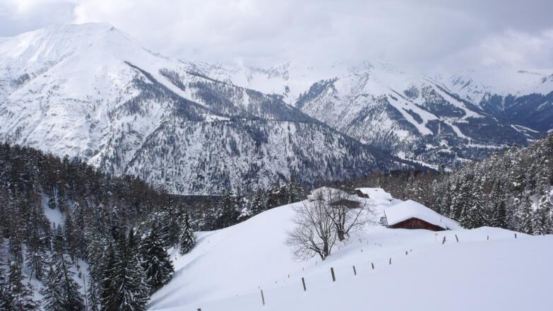 Blick auf die Köglalm. Dahinter das Karwendel mit Seekarspitze und Christlum