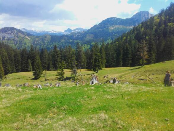 Blick über die Hütteneckalm mit Sandling, Loser und Totem Gebirge im Hintergrund.