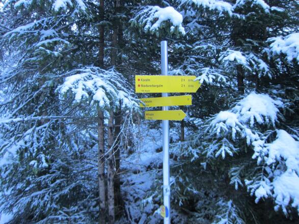 Wie verlassen die Rodelbahn und folgen dem Forstweg Richtung Niedererbergalm.