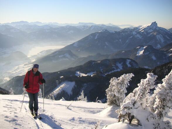 Wolfgangsee und Schafberg