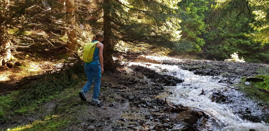 Die Forststraße kann bald verlassen werden
