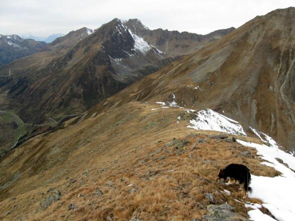 Am Rückweg über die Metzenböden