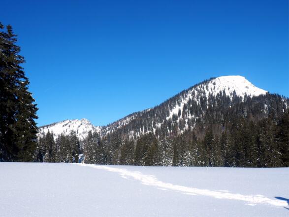 Rückblick zum Mayrwipfl