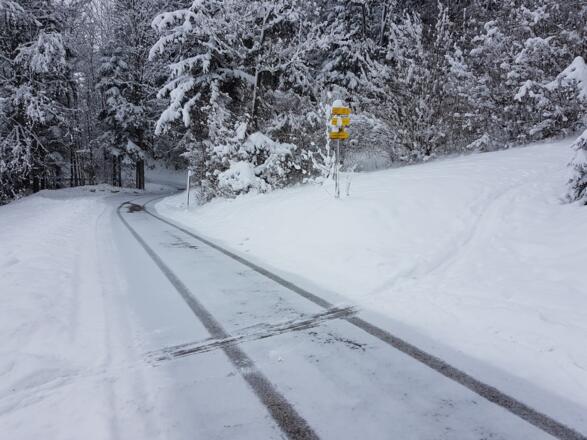 Querung der Straße zum Miesriegl