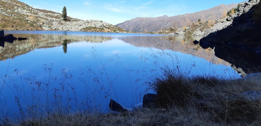 Unmöglich, sich satt zu sehen!