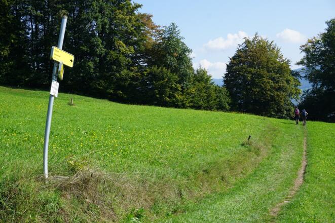 Wiesenweg nach dem Bauernhof