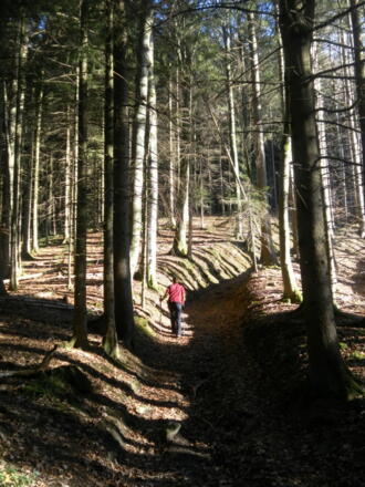 Hohlweg