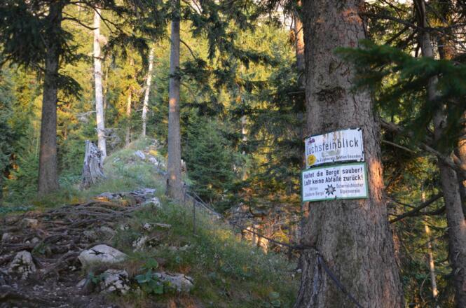 Vom Dachsteinblick geht es weiter....