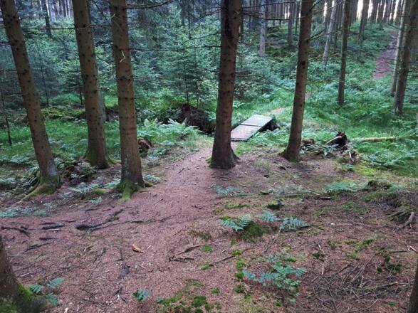 Jetzt geht es über einen kleinen Bach.