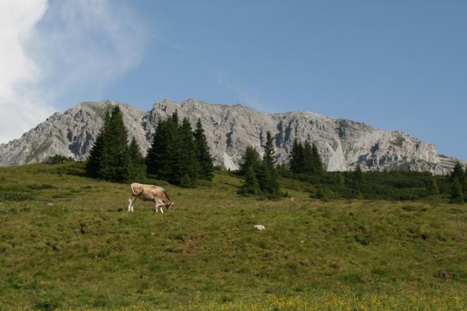 Das weitläufige Plateau unterhalb des Birgitzköpfl. Darüber erhebt sich die steile Westflanke der Nockspitze.