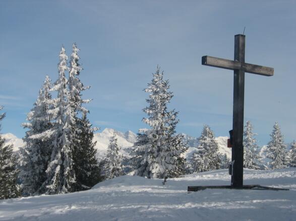 Der Gipfel, zwischen den Bäumen der Olperer und der Fußstein.