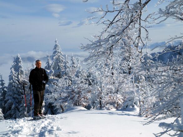 Abfahrt am Ziehweg des flachen Kammes nach Osten.