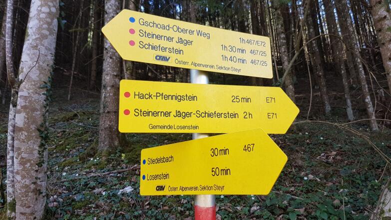 Wegkreuzung bei Erreichen der Straße