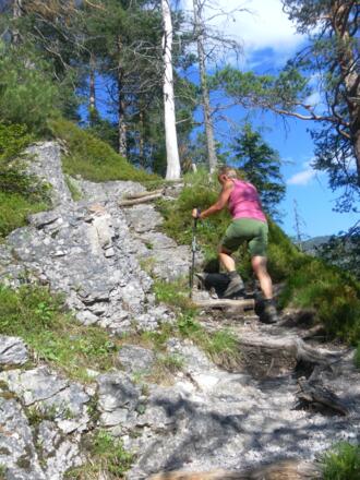 Goggsteig