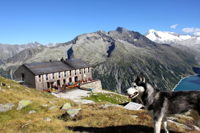 Olpererhütte