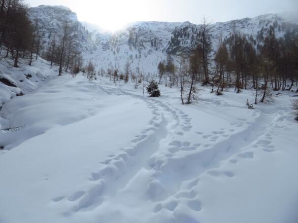 Vielbesuchtes Ziel??