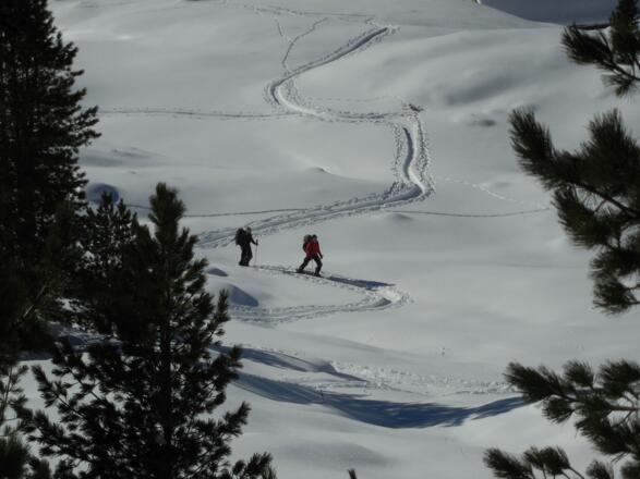 Aufstieg nach der Hütte durch Wald