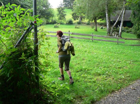 ... bis der Weg am Wildgatter nach links abzweigt
