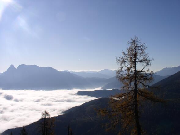 Nebel im Ennstal mit Gesäuse