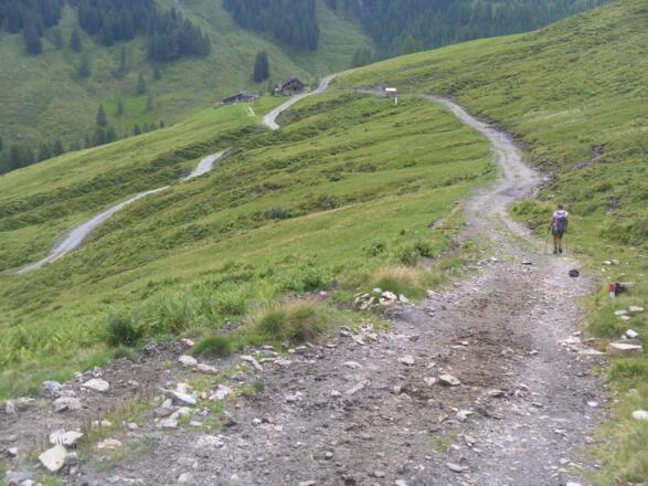 Almweg zur Retteneggalm