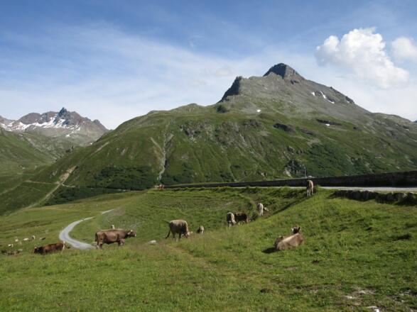Start an der Bieler Höhe mit Blick auf das Hohe Rad
