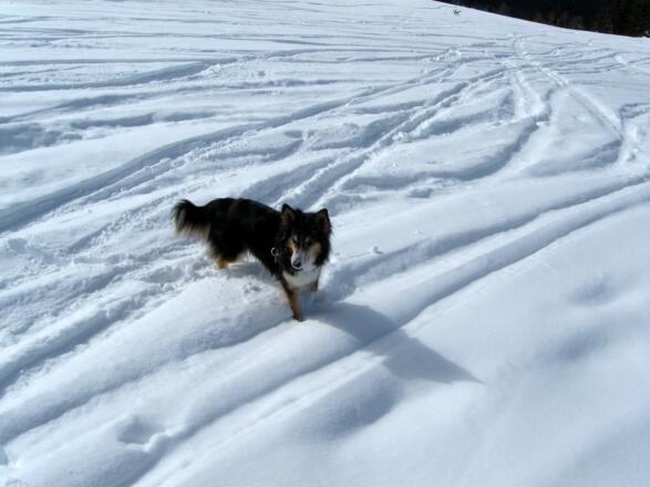 Spaß gibt&#039;s für jeden!