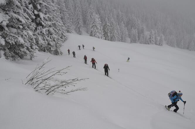 Aufstieg oberhalb der Alpe Briedler