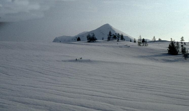 Am Sumpereck im Hintergrund der Hochmölbing