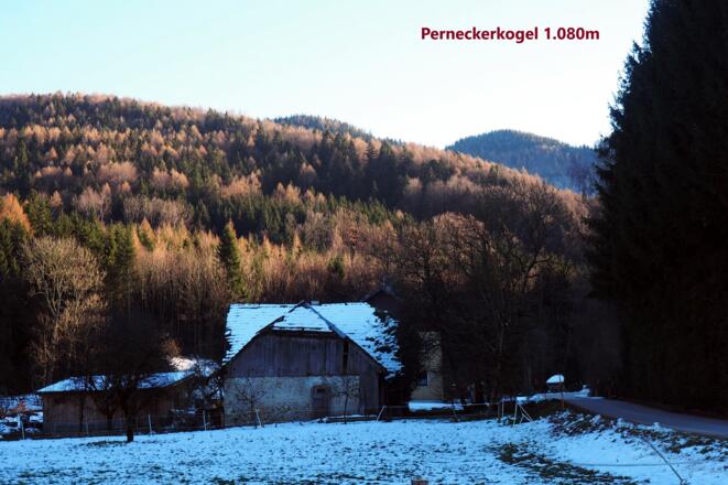 Das Gipfelziel vom P in Dörfl 550 m