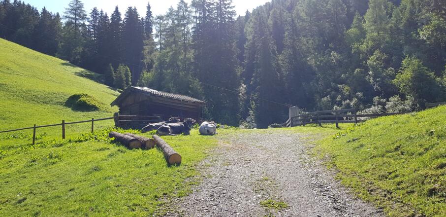 Kurz vor der Rosenjochhütte