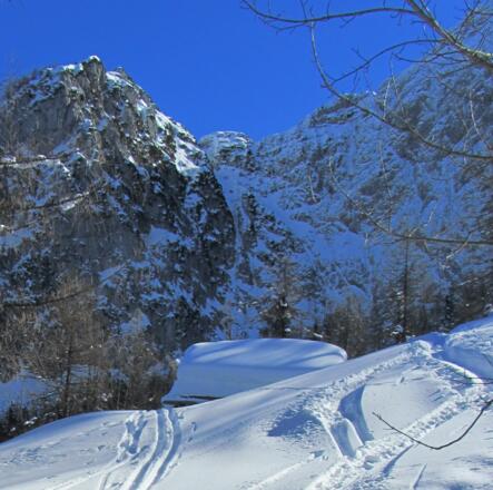 Von der Hütte ist nur das Dach zu sehen