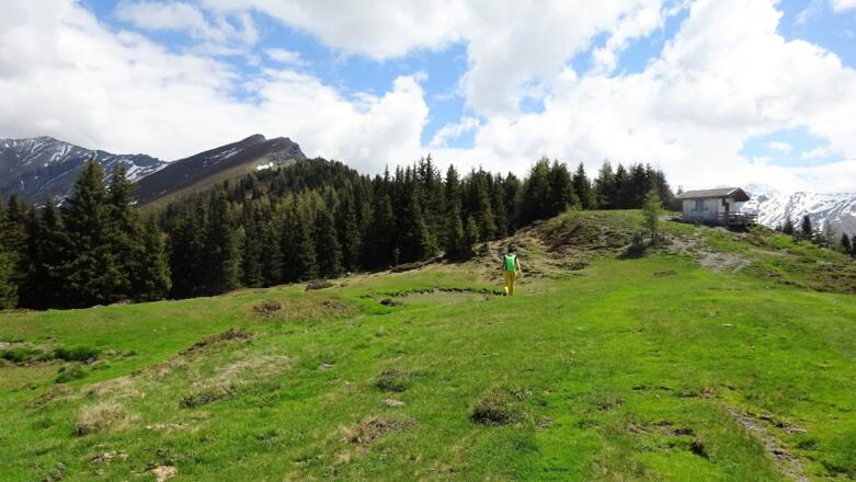 Am Hochgeneinerjöchl wird der Blick auf den Sumpfkopf frei (der 2. Höcker im Gratverlauf). Ganz links die Schafseitenspitze (2602 m).