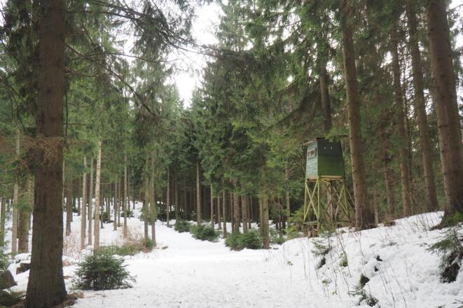 Wegkreuzung 935m mit grünem Jagastand