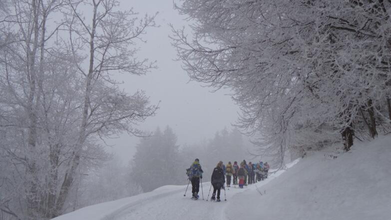 Herrliche Schneeschuhwanderung auch bei schlechtem Wetter