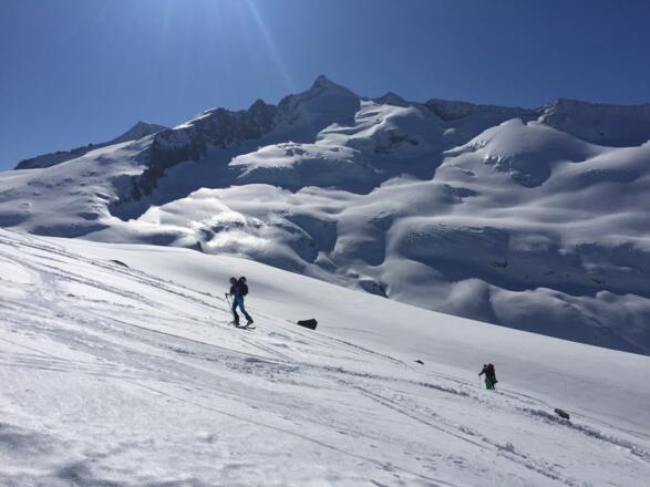 Blick zum Großvenediger