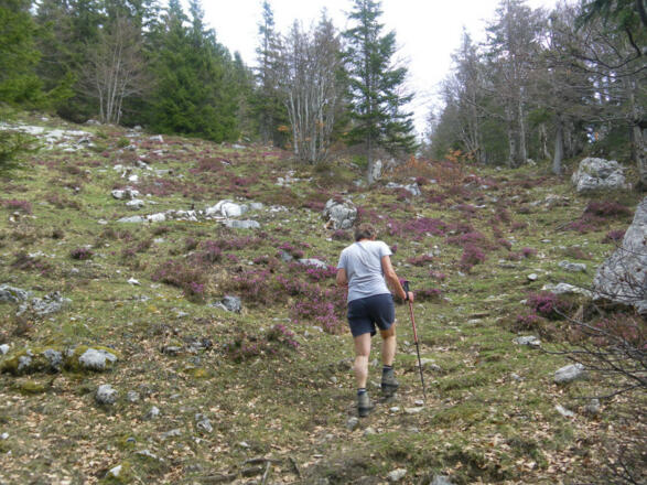 Almanstieg zum Hochgseng