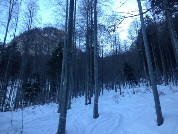 dann dem markierten Wanderweg (625) folgen