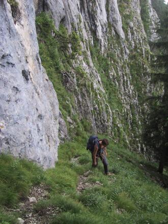 steiler grasiger Einstieg