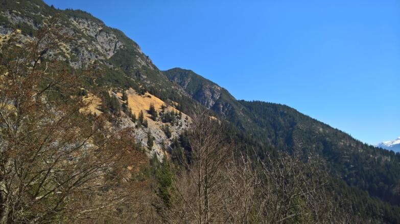 Thaurer Mähder - dort kommen wir her