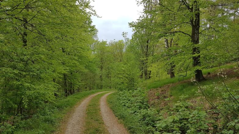 Links bei der Kreuzung mit Jagerstand