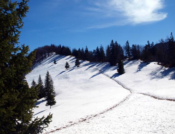 Grat zum Rauhen Kalbling 1381 m