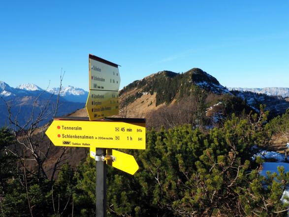 Gratsattel 1530m mit Schlenken